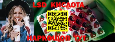 PSILOCYBIN Партизанск
