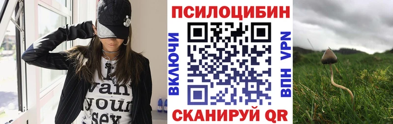 как найти   Череповец  Галлюциногенные грибы MAGIC MUSHROOMS 