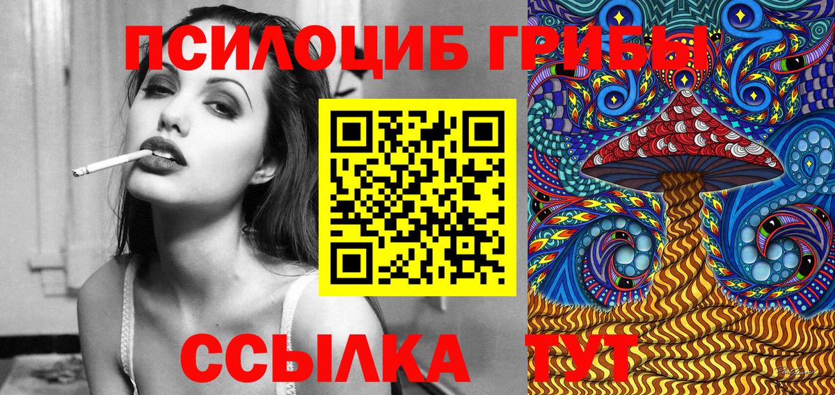 Галлюциногенные грибы Psilocybine cubensis Череповец