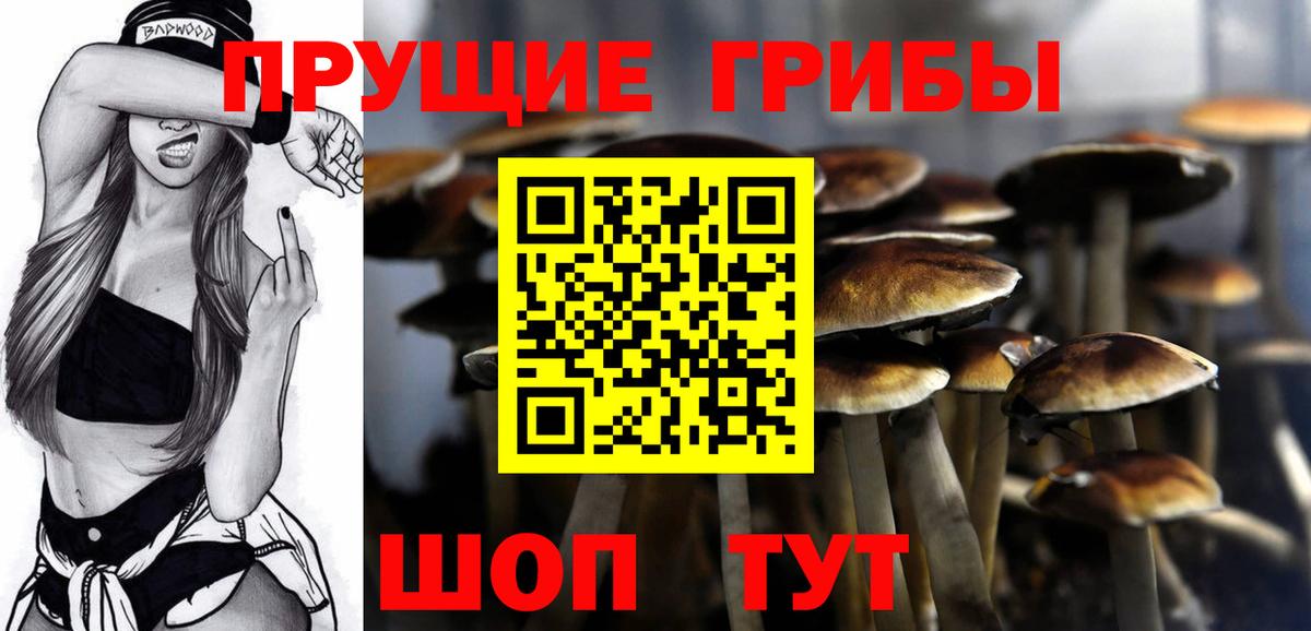 Псилоцибиновые грибы GOLDEN TEACHER  Галлюциногенные грибы мухоморы  Вход с VPN  Череповец 